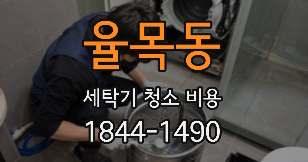 율목동 세탁기 청소 비용