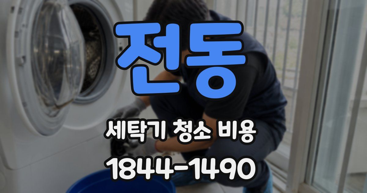 전동 세탁기 청소 비용