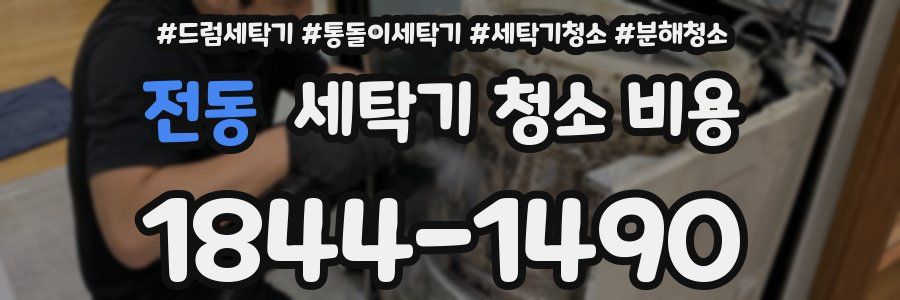 전동 세탁기 청소 비용