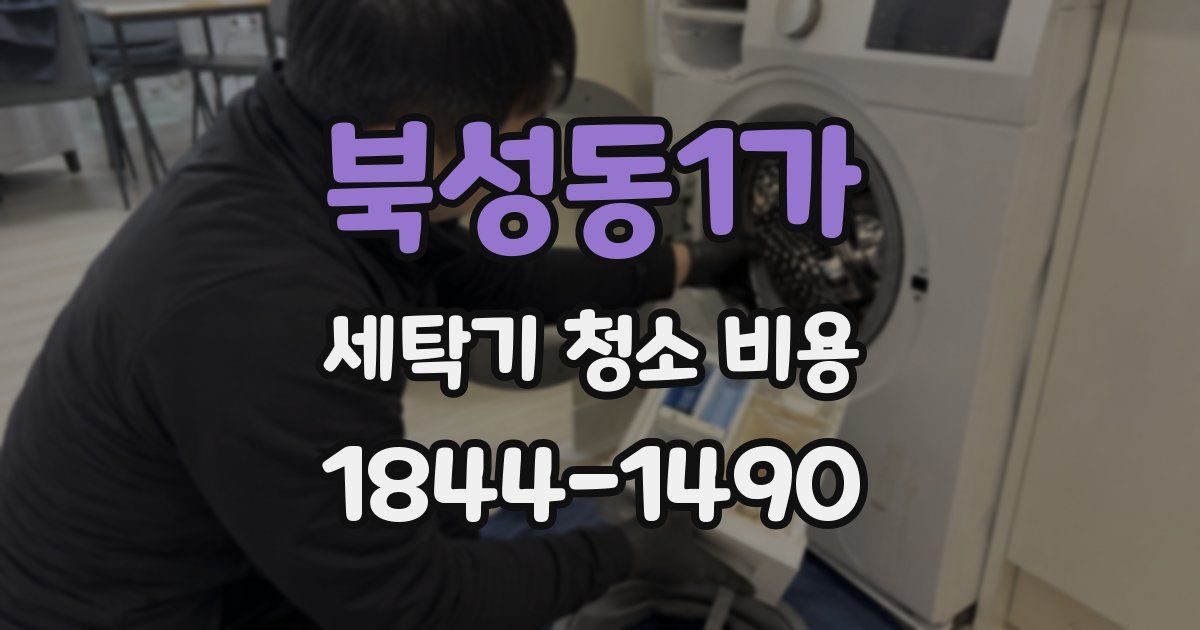 북성동1가 세탁기 청소 비용