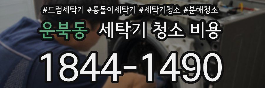 운북동 세탁기 청소 비용
