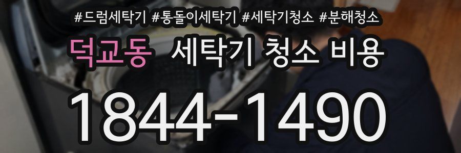 덕교동 세탁기 청소 비용