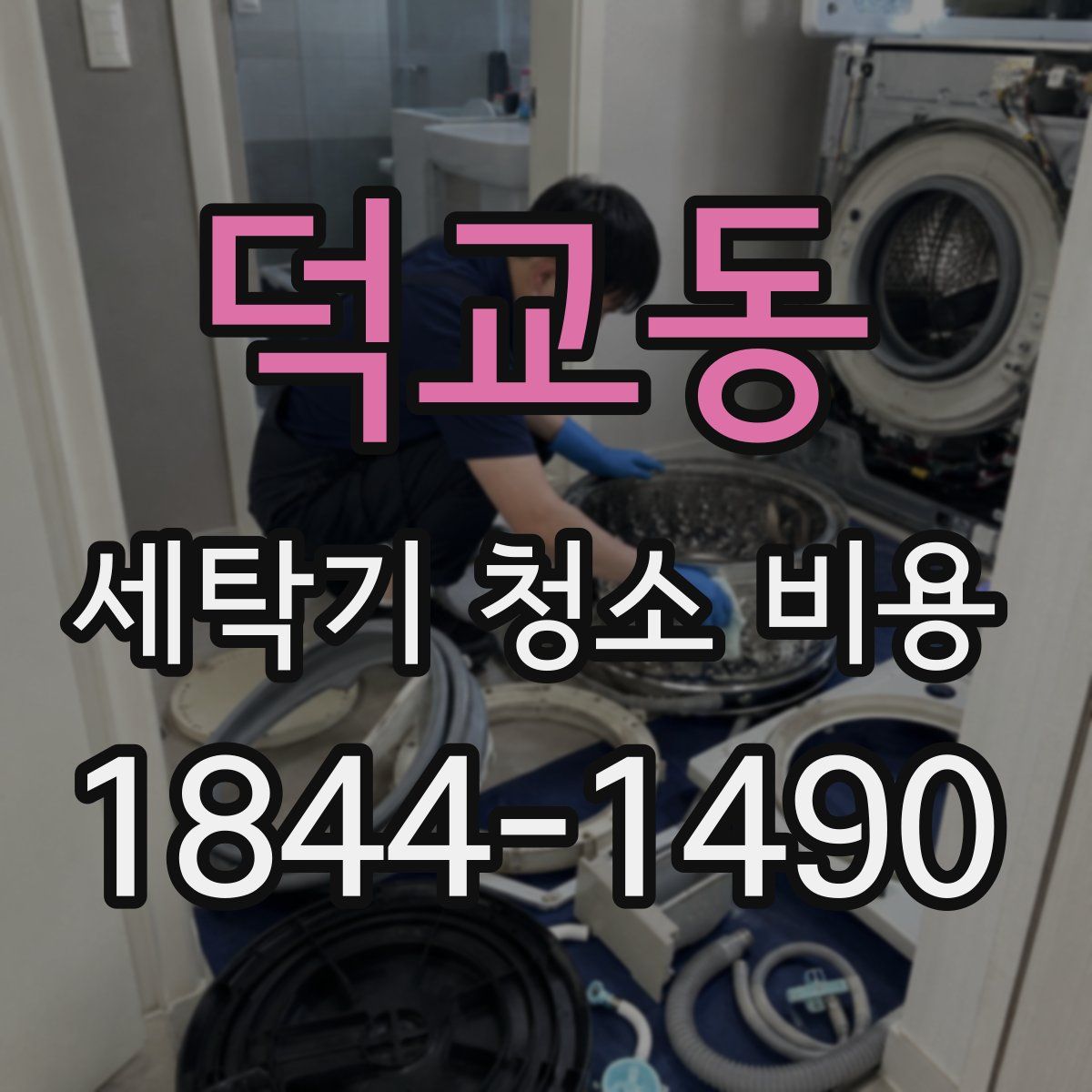 덕교동 세탁기 청소 비용
