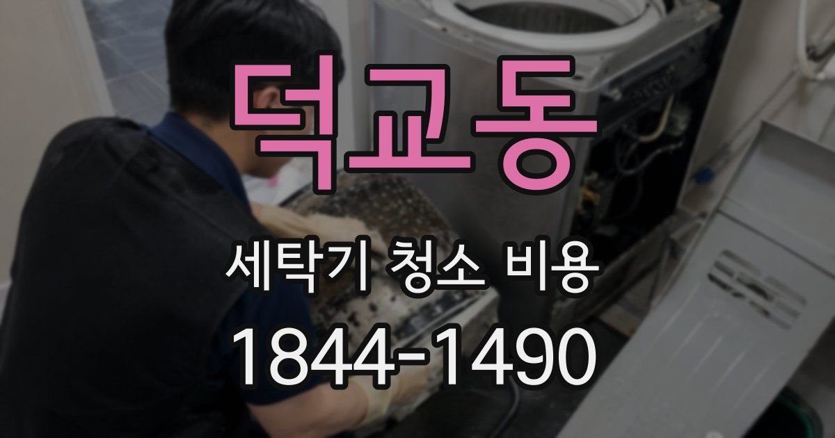 덕교동 세탁기 청소 비용