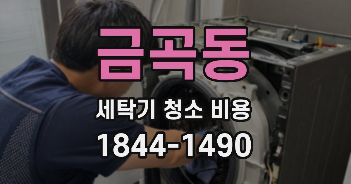 금곡동 세탁기 청소 비용