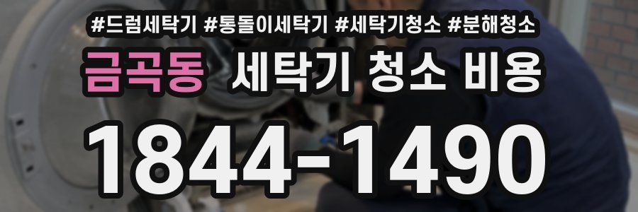 금곡동 세탁기 청소 비용