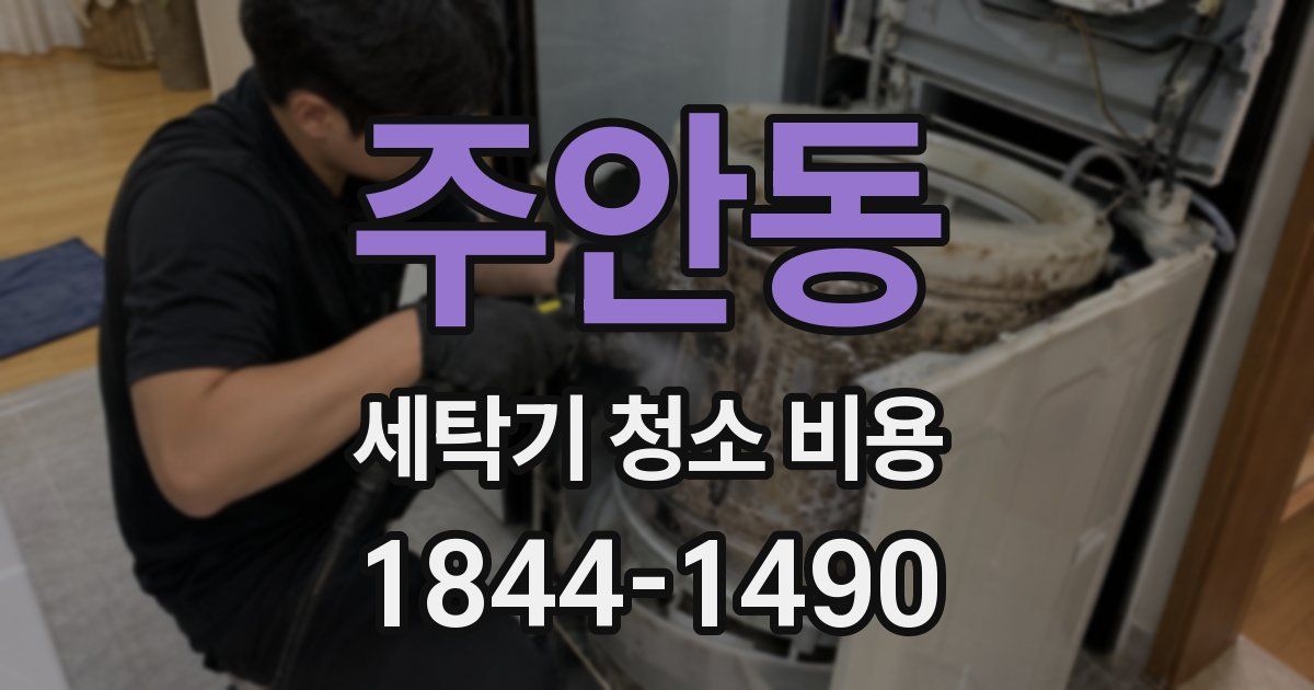 주안동 세탁기 청소 비용