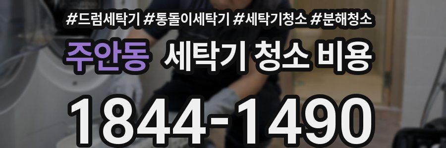 주안동 세탁기 청소 비용