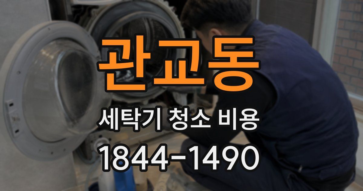관교동 세탁기 청소 비용