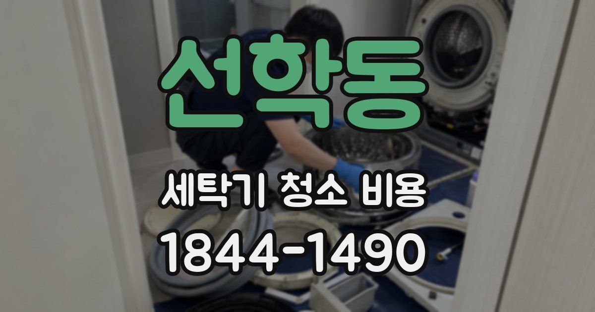 선학동 세탁기 청소 비용