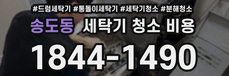송도동 세탁기 청소 비용
