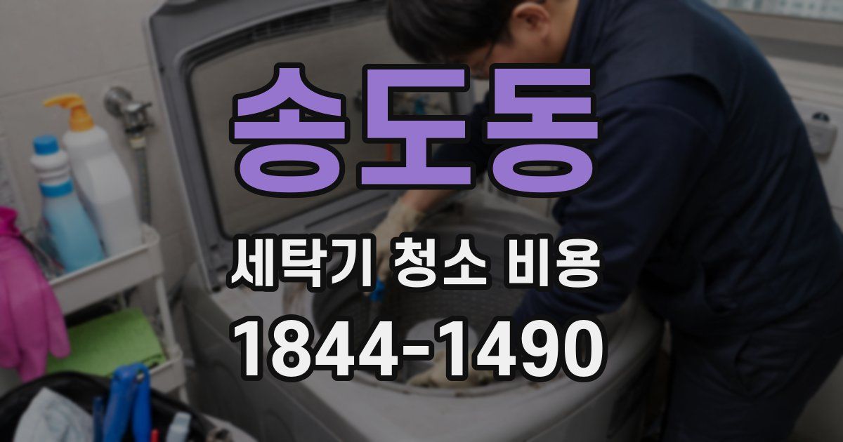 송도동 세탁기 청소 비용