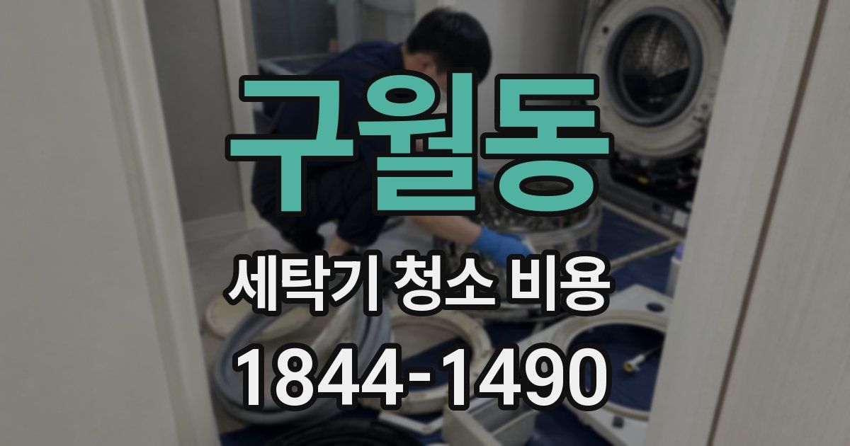 구월동 세탁기 청소 비용