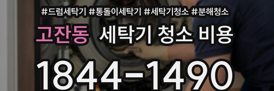 고잔동 세탁기 청소 비용