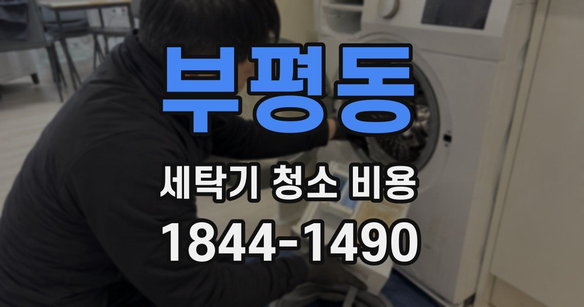 부평동 세탁기 청소 비용