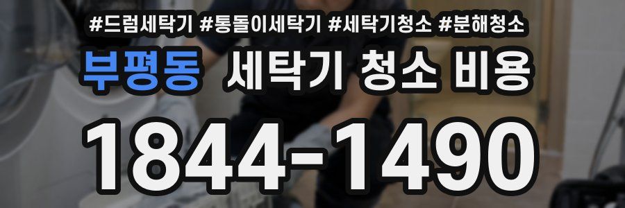 부평동 세탁기 청소 비용
