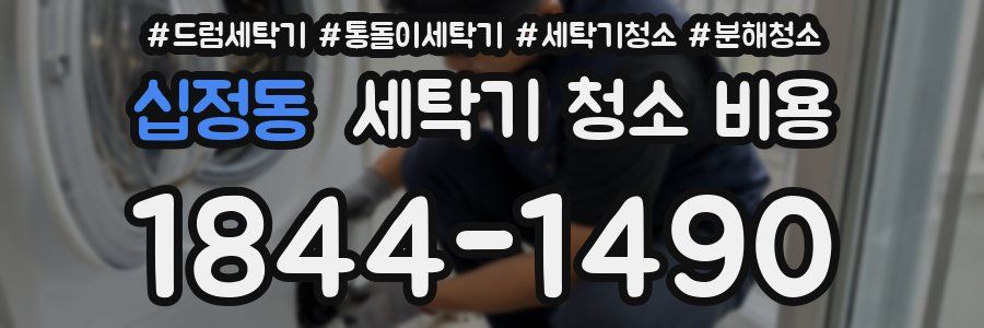 십정동 세탁기 청소 비용