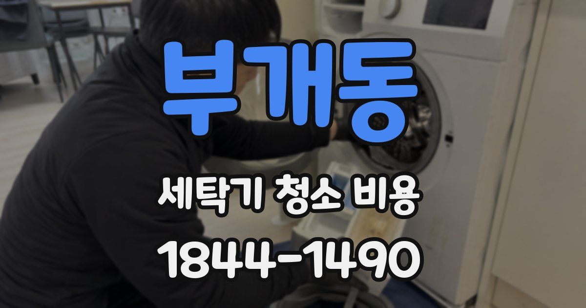 부개동 세탁기 청소 비용