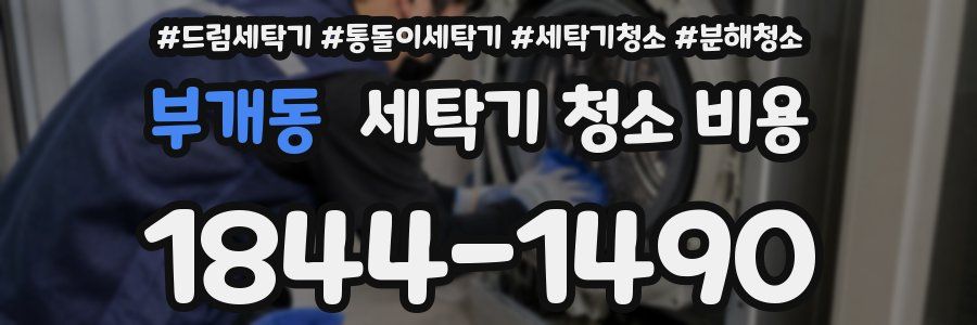 부개동 세탁기 청소 비용