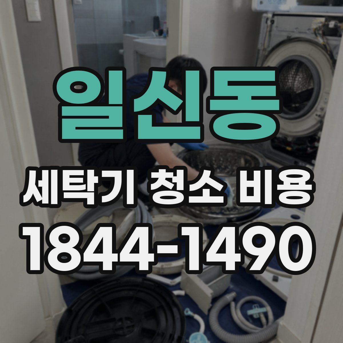 일신동 세탁기 청소 비용