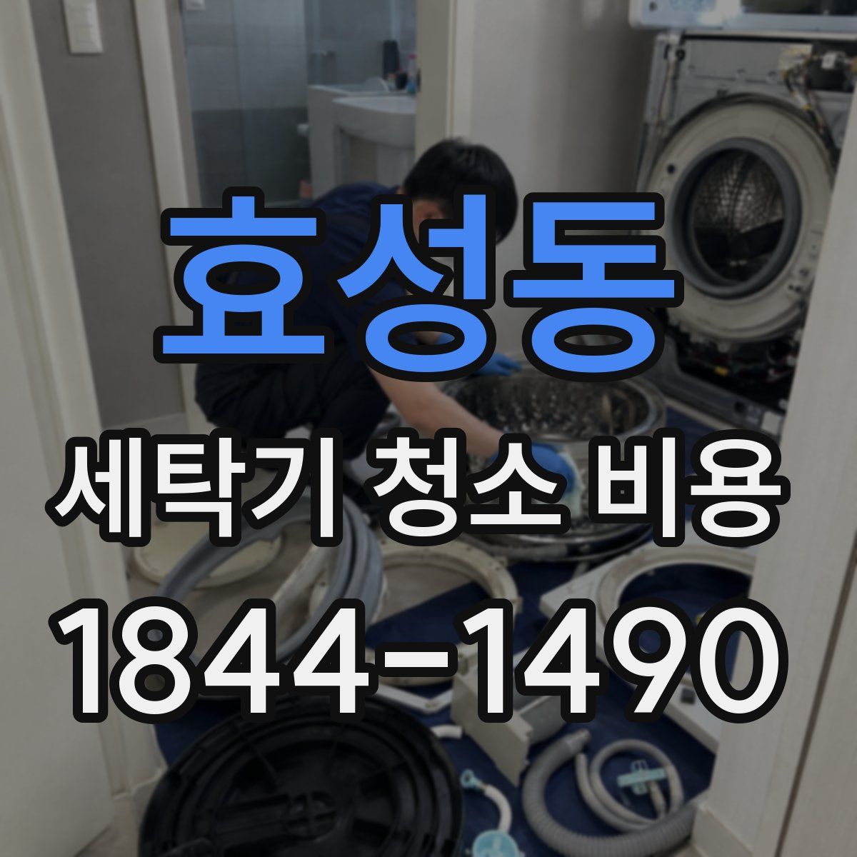 효성동 세탁기 청소 비용