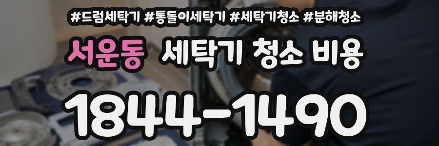 서운동 세탁기 청소 비용