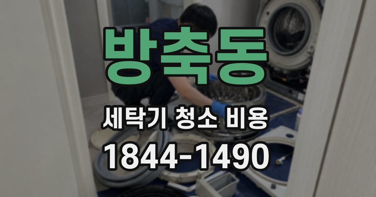 방축동 세탁기 청소 비용