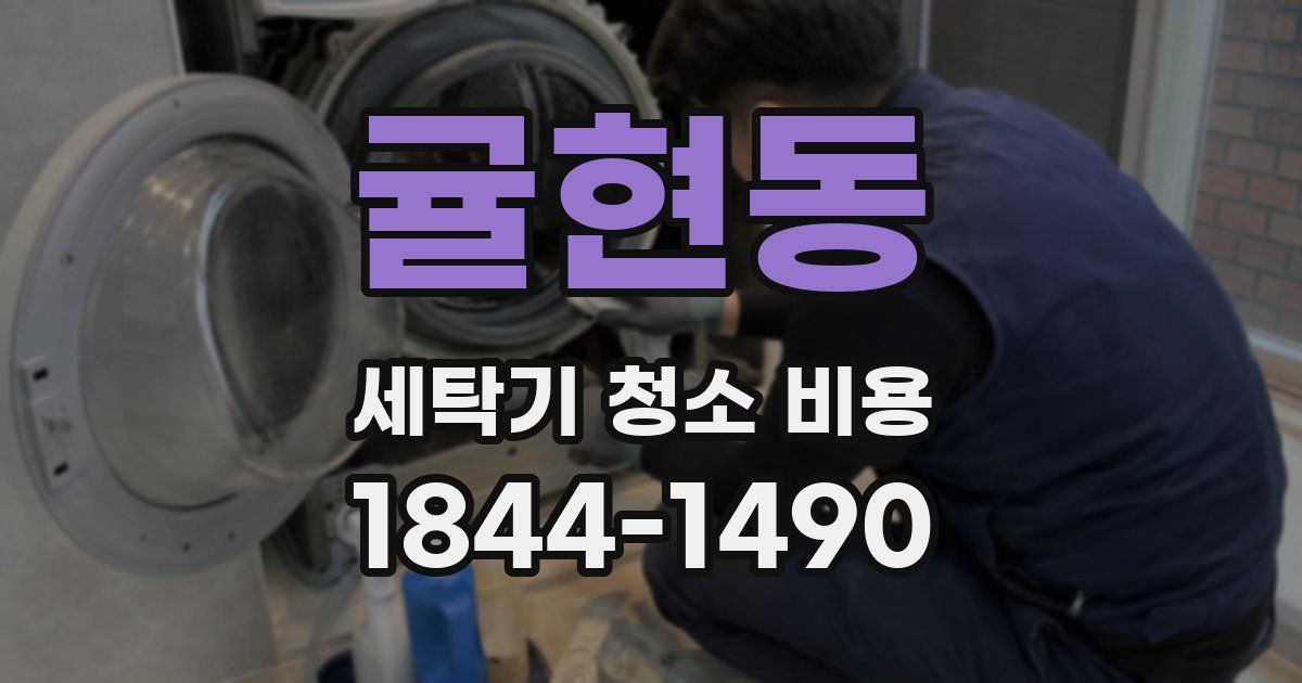 귤현동 세탁기 청소 비용