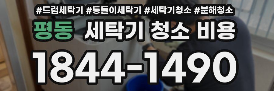 평동 세탁기 청소 비용
