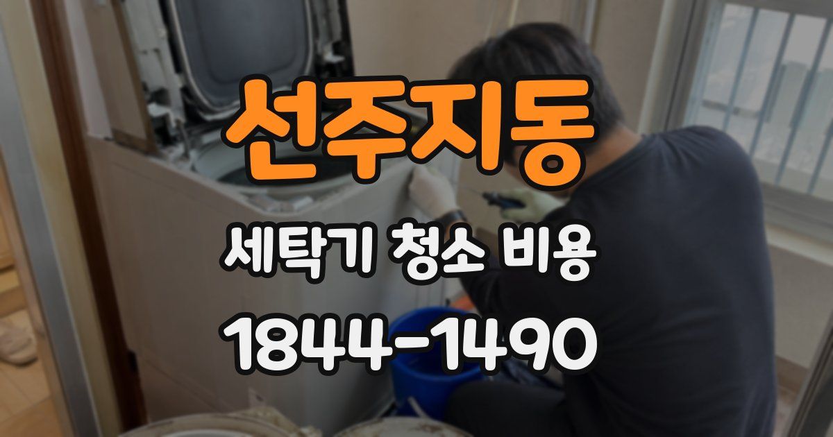 선주지동 세탁기 청소 비용