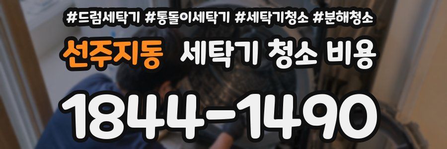 선주지동 세탁기 청소 비용