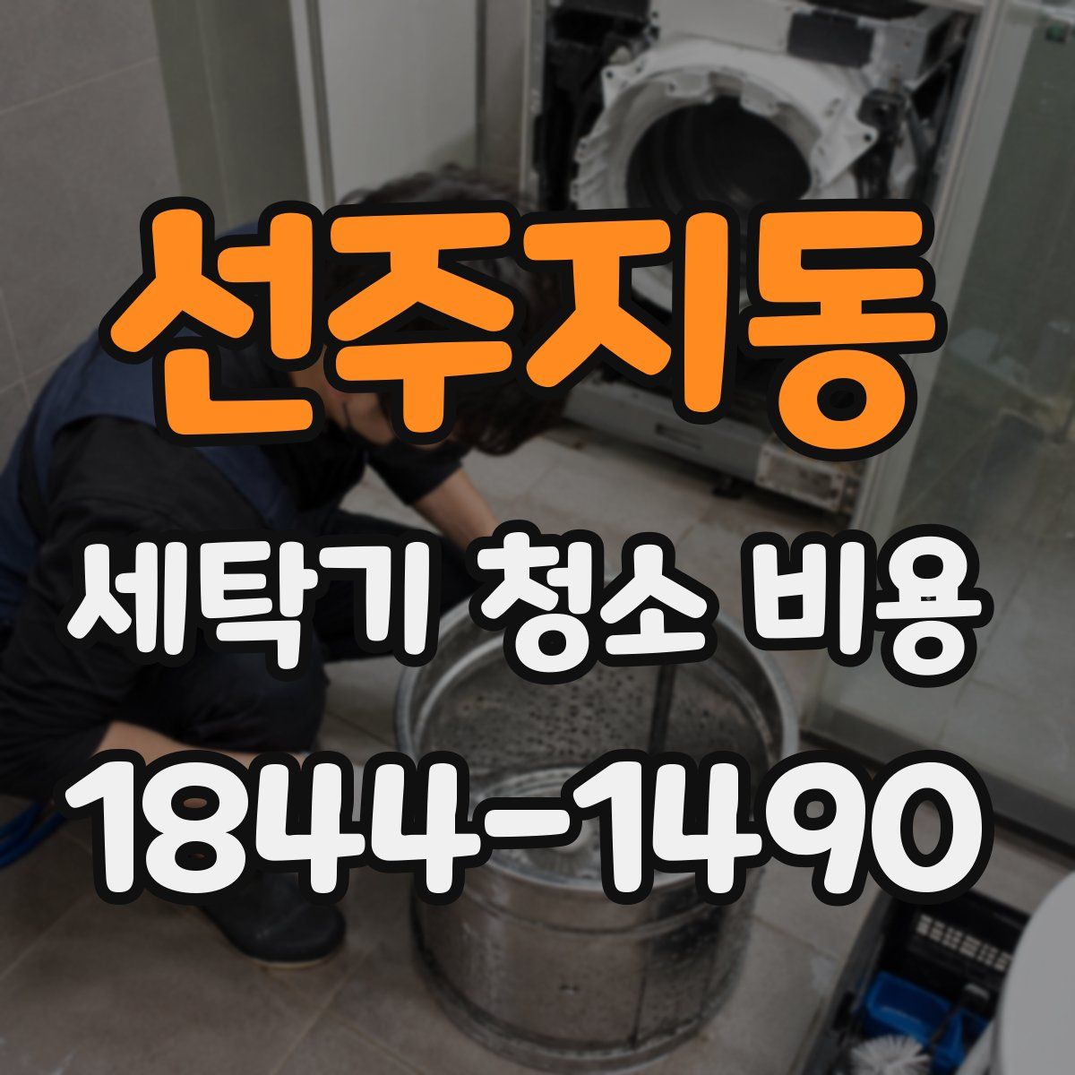 선주지동 세탁기 청소 비용