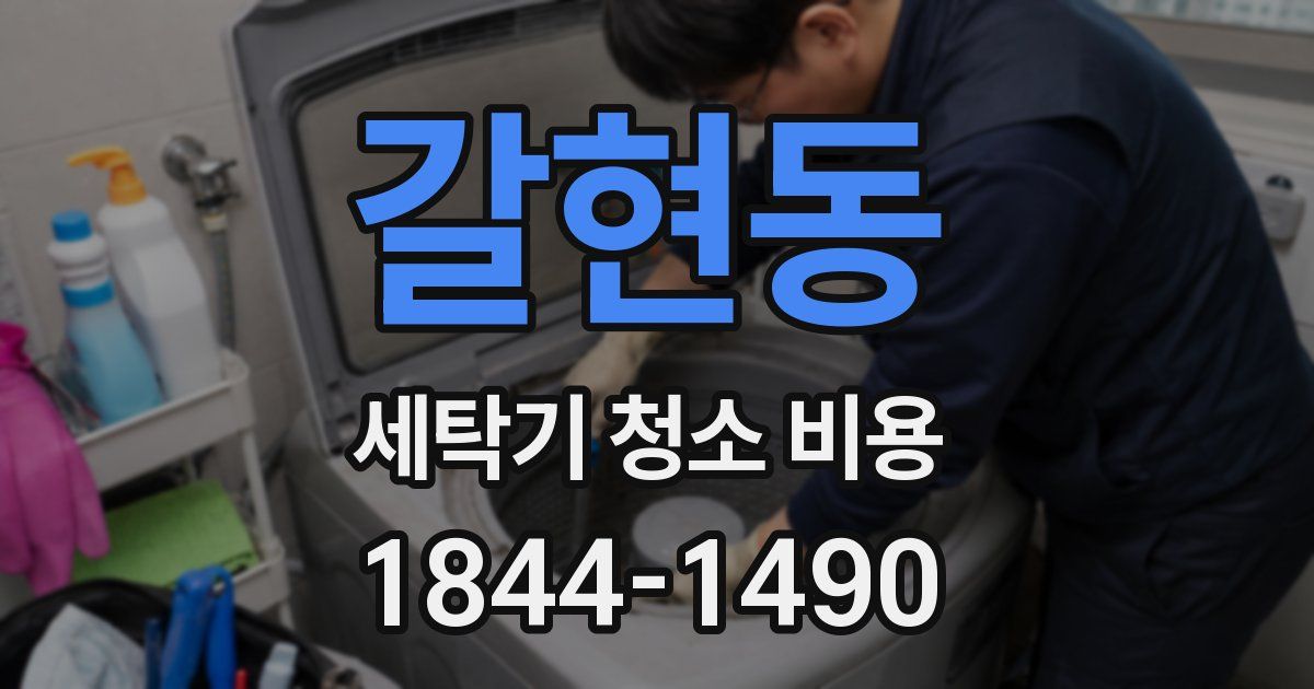 갈현동 세탁기 청소 비용