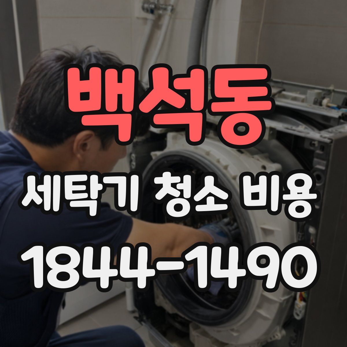 백석동 세탁기 청소 비용