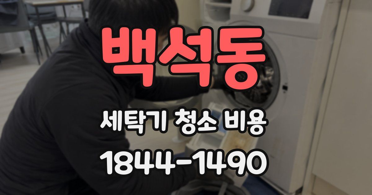 백석동 세탁기 청소 비용