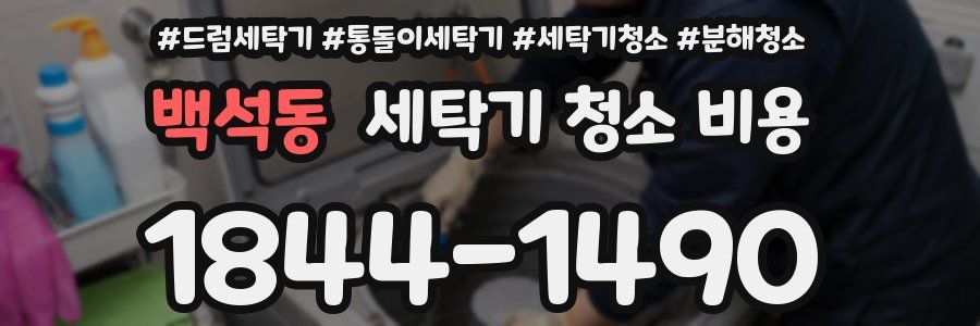 백석동 세탁기 청소 비용