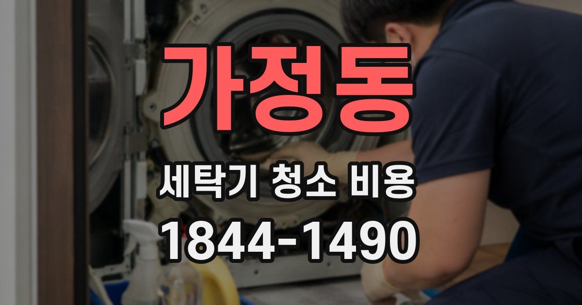 가정동 세탁기 청소 비용