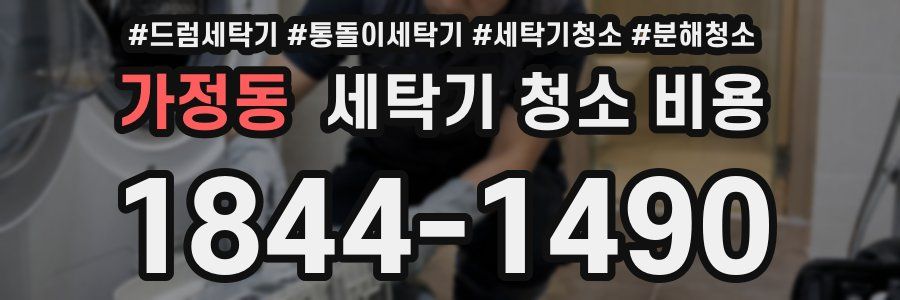 가정동 세탁기 청소 비용
