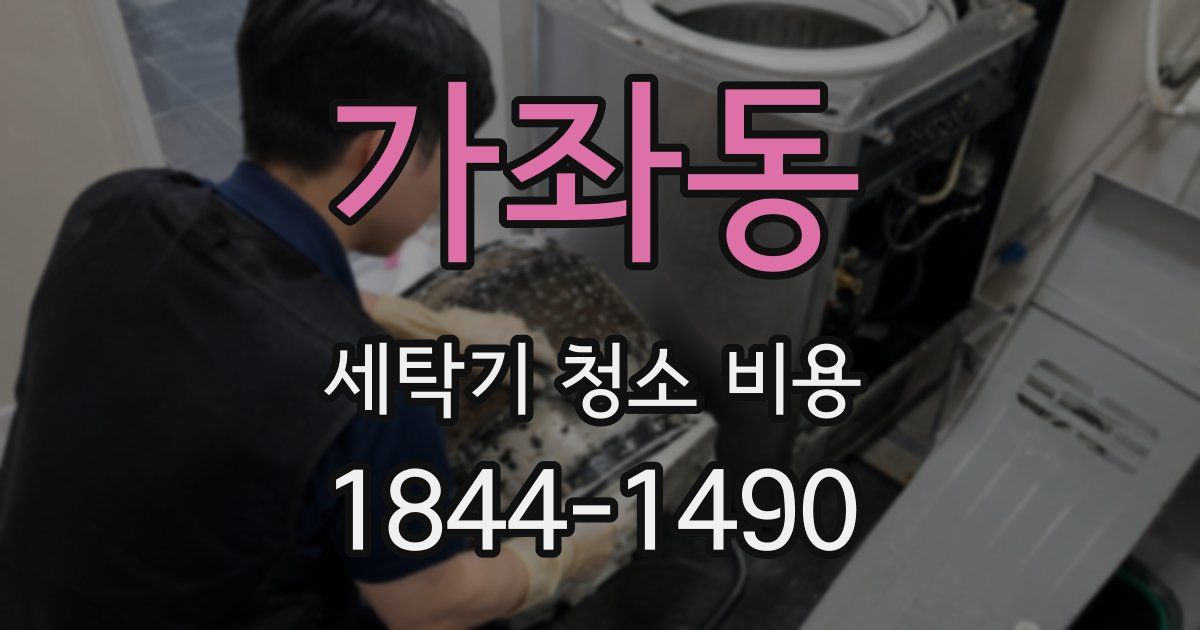 가좌동 세탁기 청소 비용