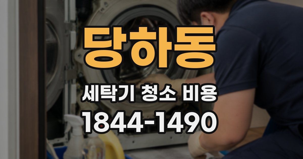 당하동 세탁기 청소 비용