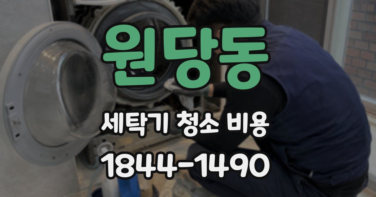 원당동 세탁기 청소 비용