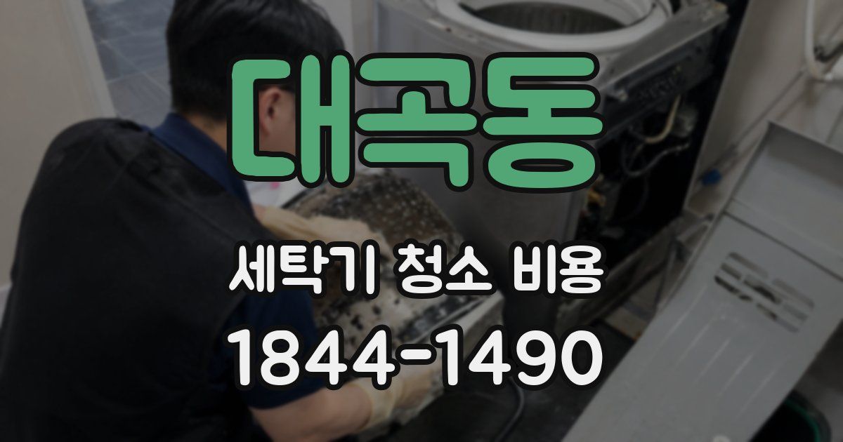 대곡동 세탁기 청소 비용