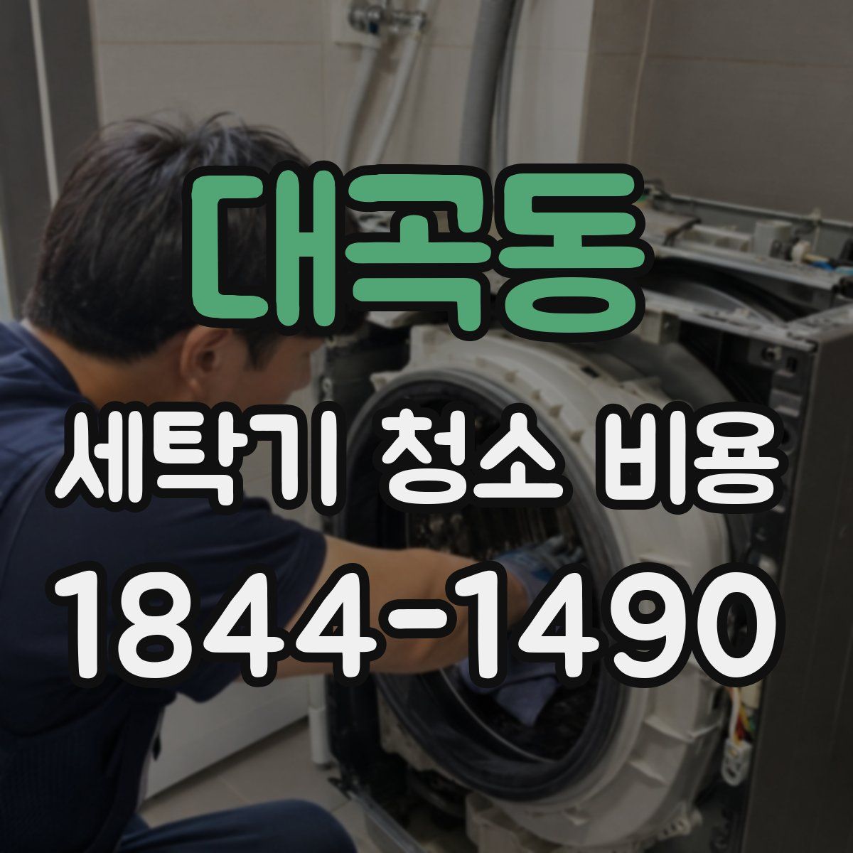 대곡동 세탁기 청소 비용