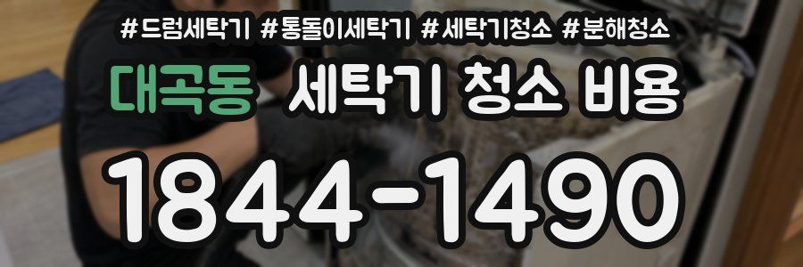 대곡동 세탁기 청소 비용