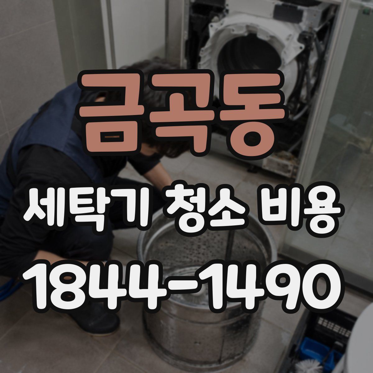금곡동 세탁기 청소 비용