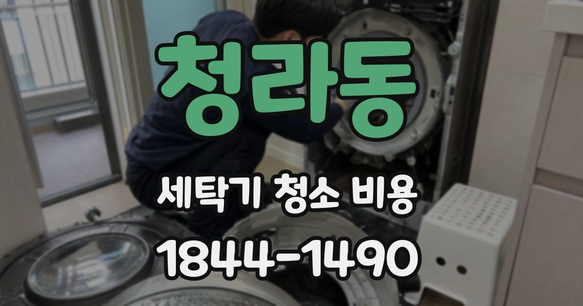 청라동 세탁기 청소 비용