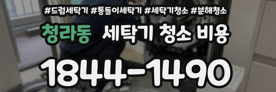 청라동 세탁기 청소 비용