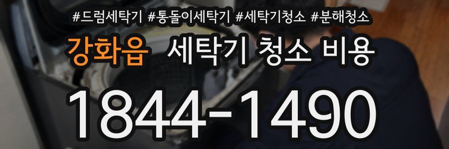 강화읍 세탁기 청소 비용