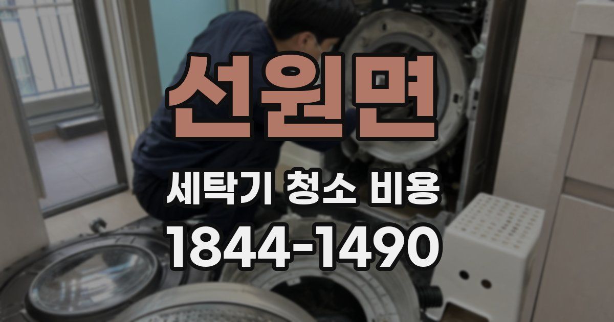 선원면 세탁기 청소 비용