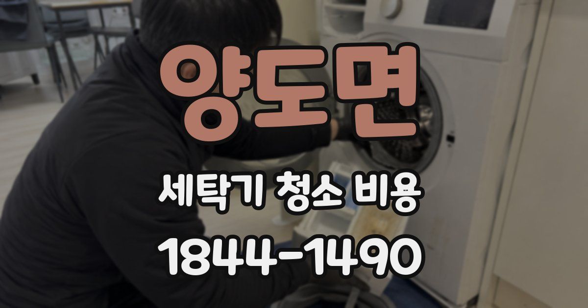 양도면 세탁기 청소 비용